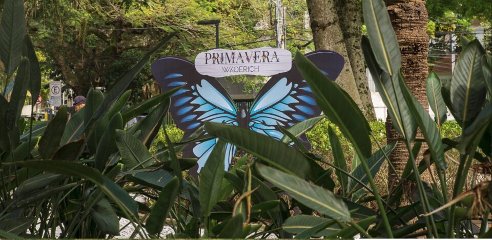WKoerich decora praças da Grande Florianópolis com borboletas em comemoração à chegada da primavera